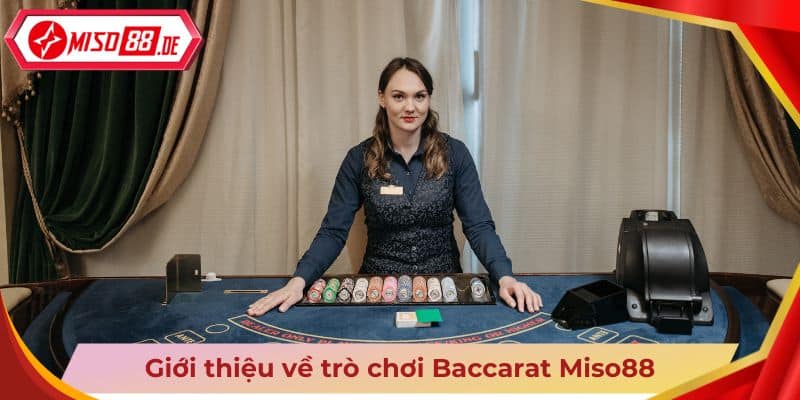 Giới thiệu về trò chơi Baccarat Miso88